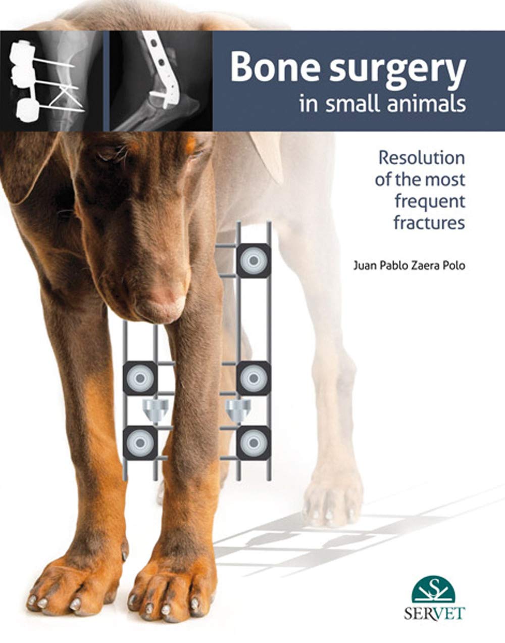 Zaera Polo, J: Bone surgery in small animals book