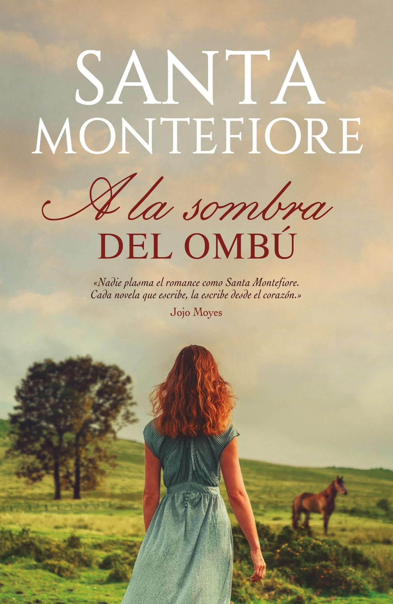 A la sombra del ombú / Meet Me Under The Ombu Tree book