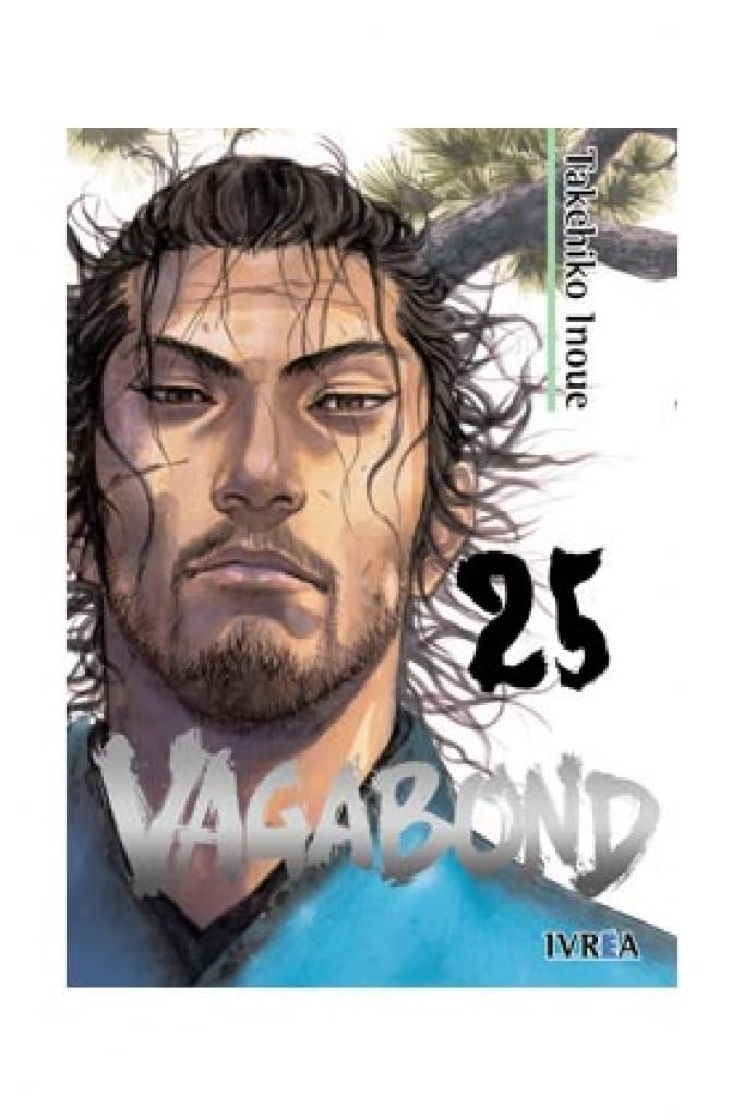 Vagabond 25 Books