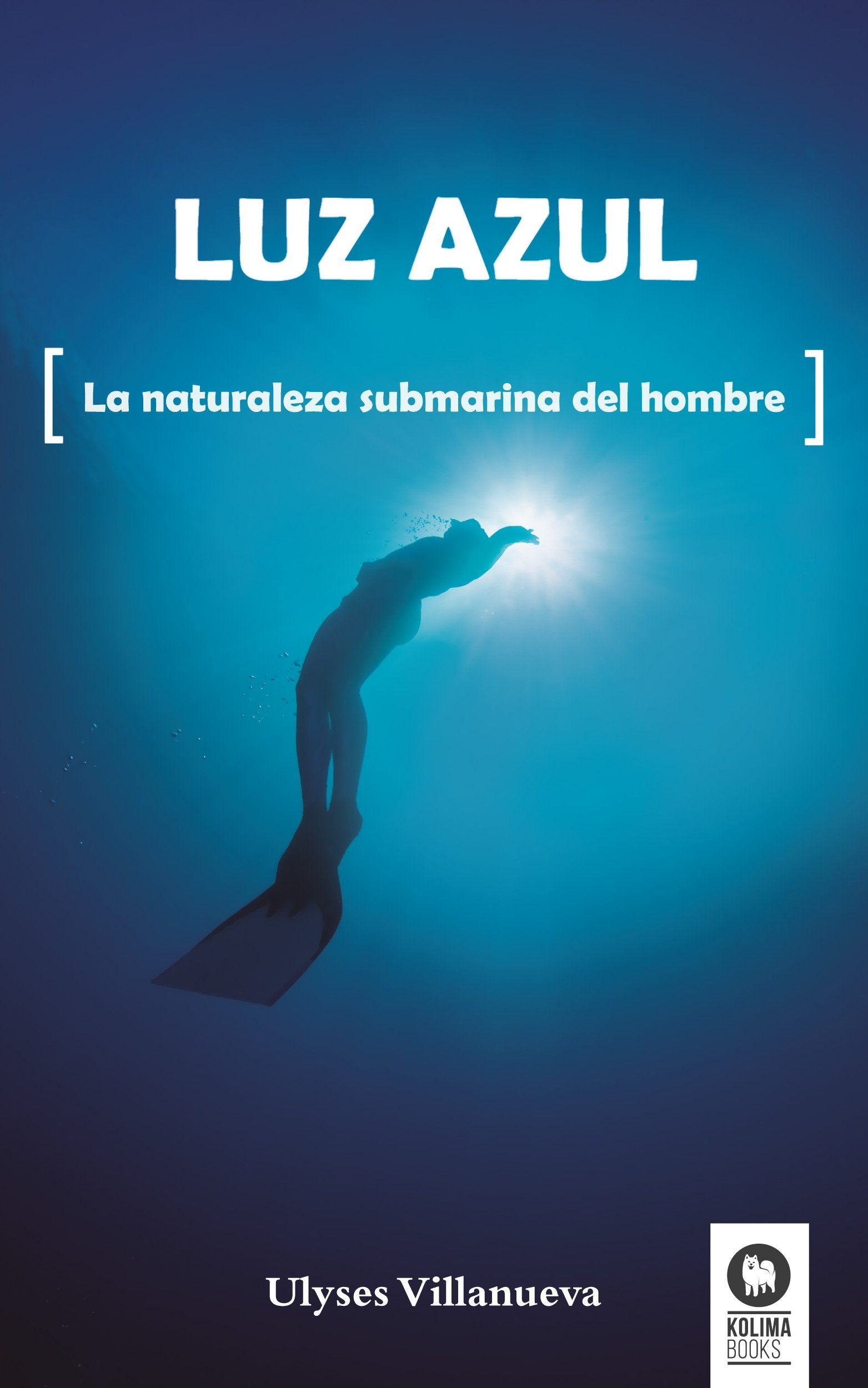 Luz Azul book