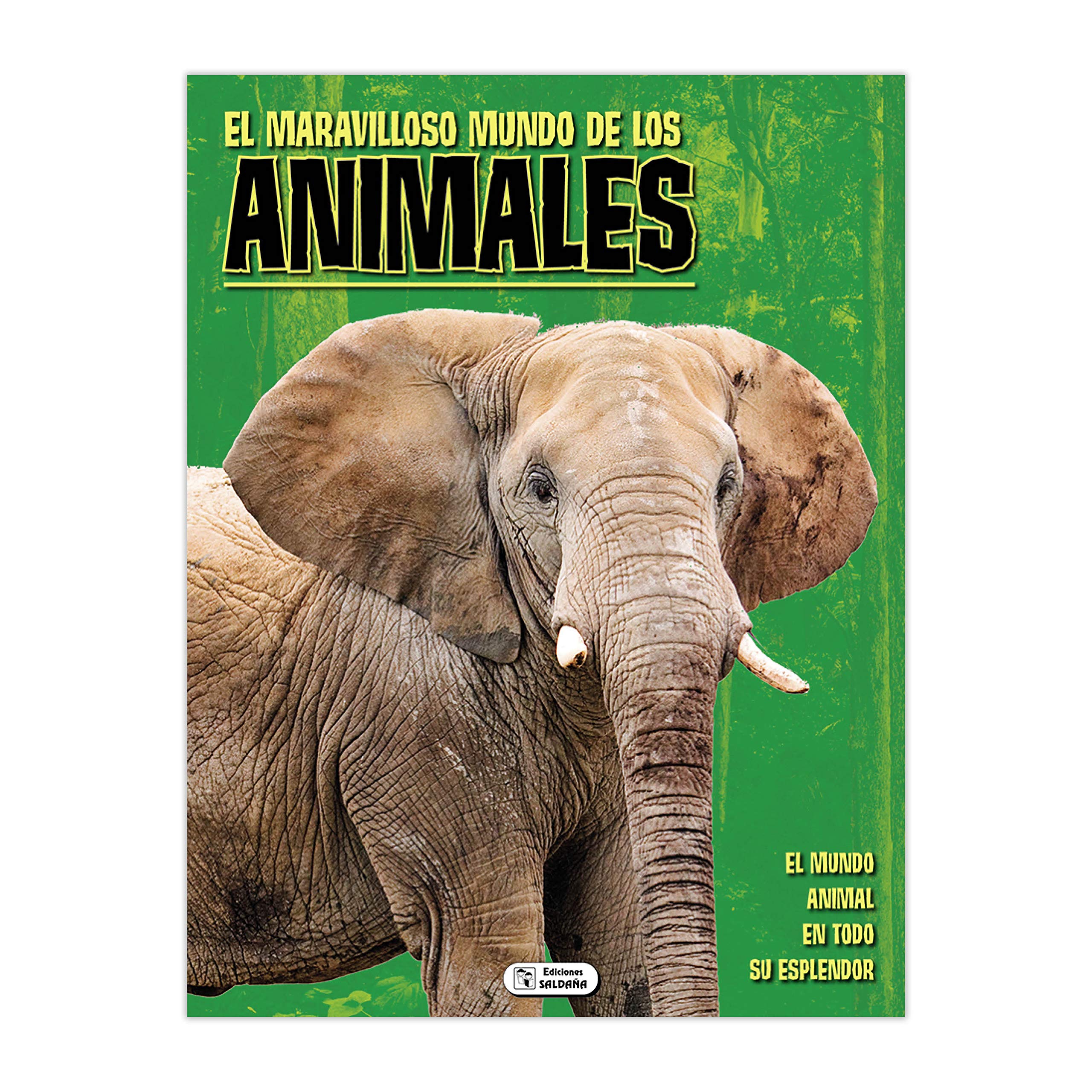 EL MARAVILLOSO MUNDO DE LOS ANIMALES Books