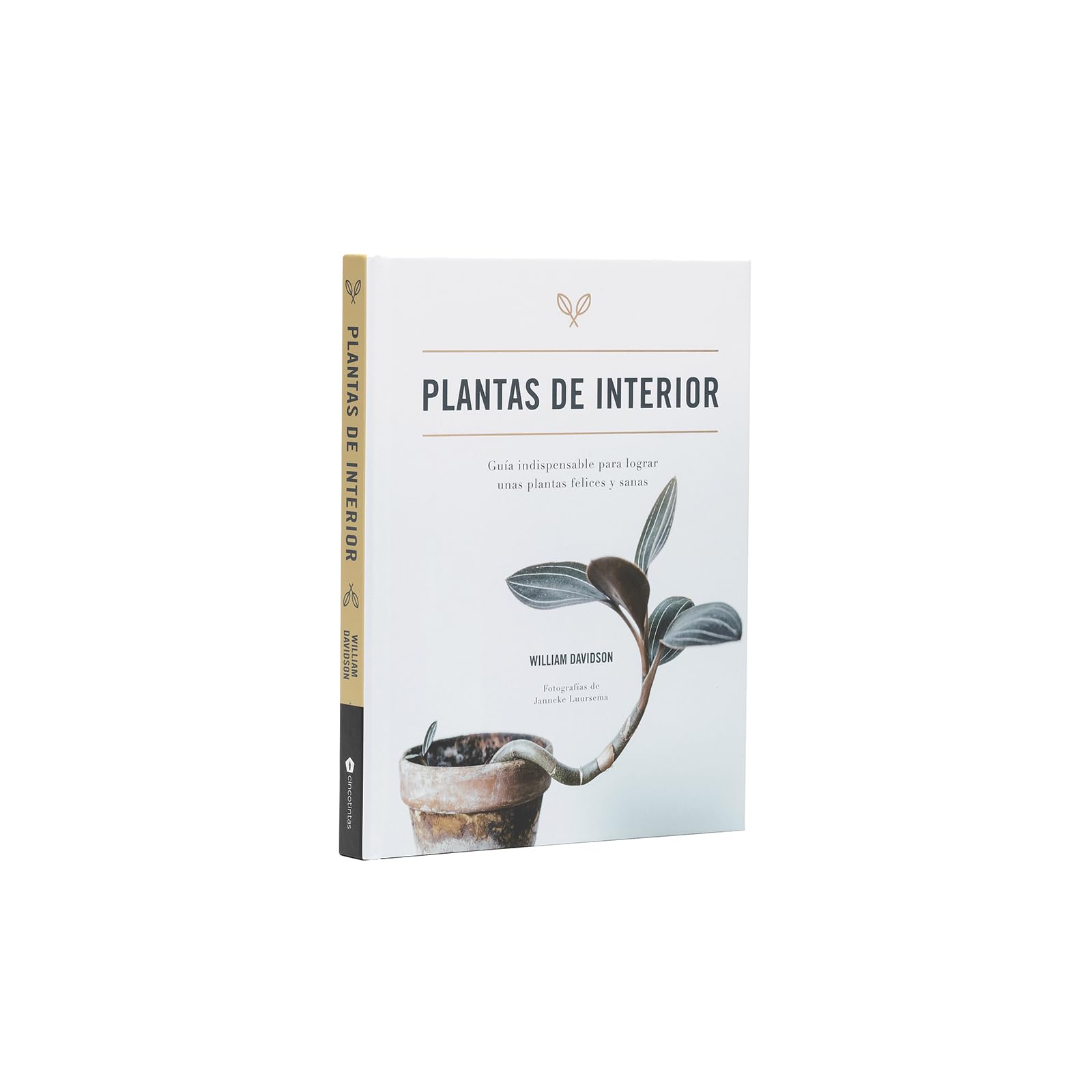 Plantas de interior: Guía indispensable para lograr unas plantas felices y sanas Leisure, Home & Garden