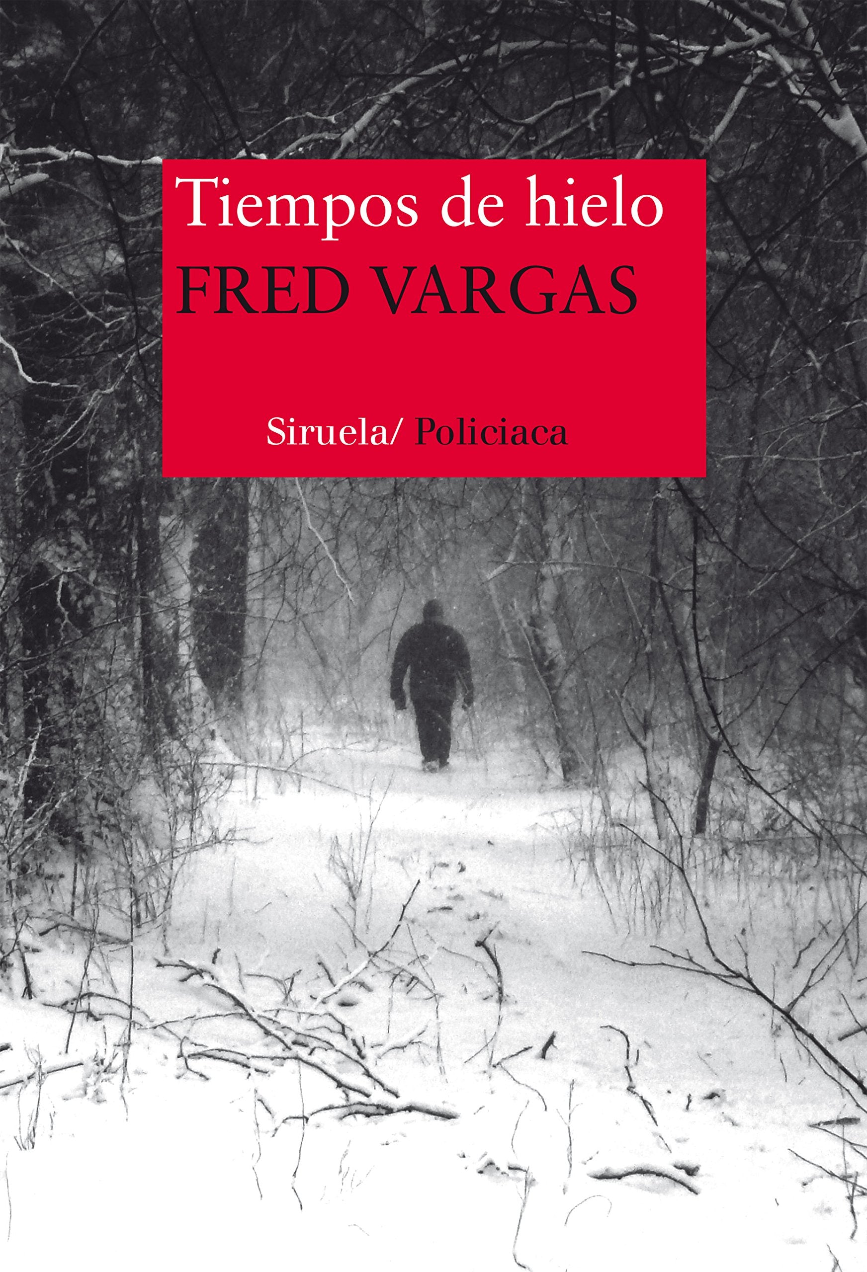 Tiempos de hielo (Nuevos Tiempos, Band 320) Contemporary literature