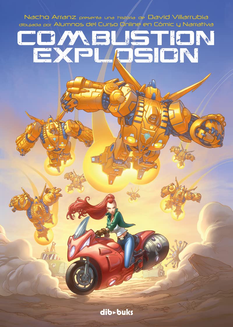 Combustion Explosion book