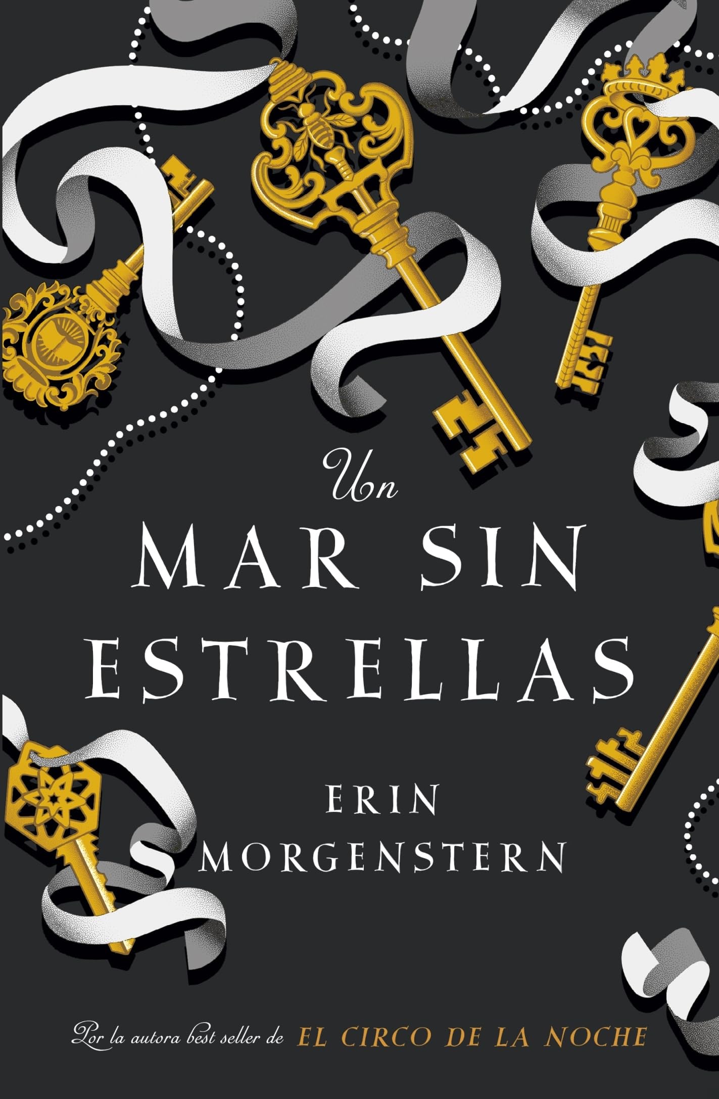 Un mar sin estrellas/ The Starless Sea book