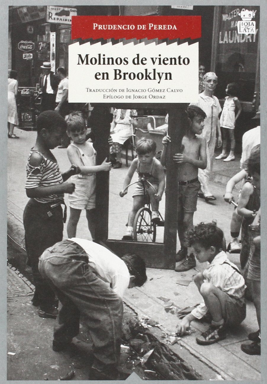 Molinos de viento en Brooklyn book