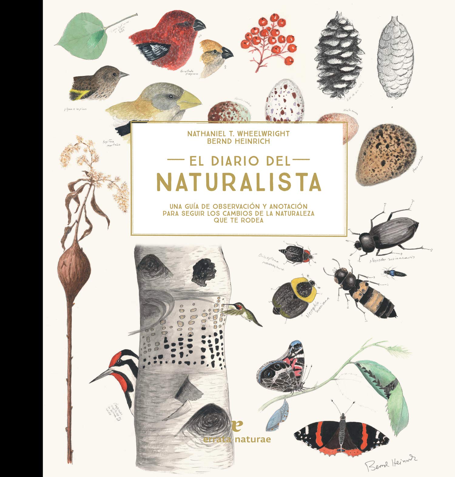 El diario del naturalista: Una guía de observación y anotación para seguir los cambios de la naturaleza que te rodea book