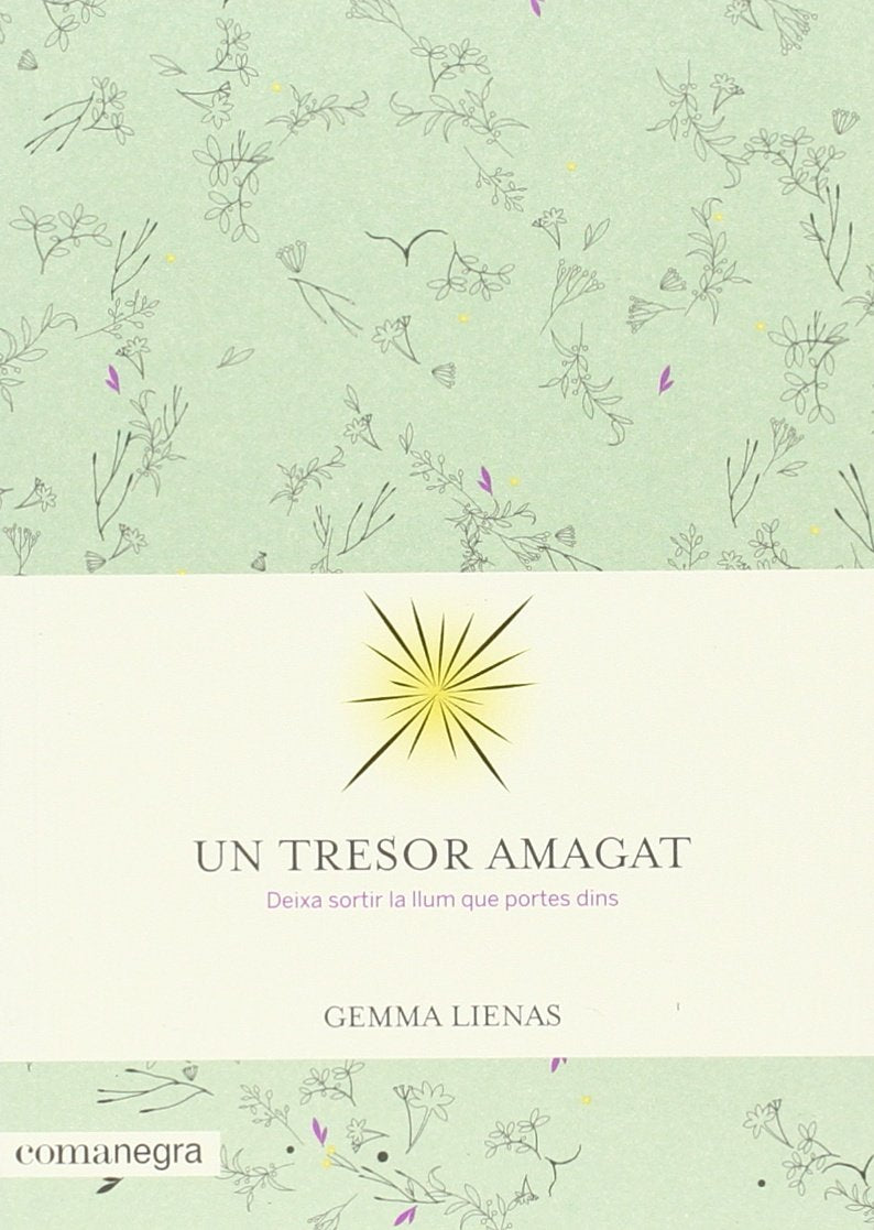 Un tresor amagat book