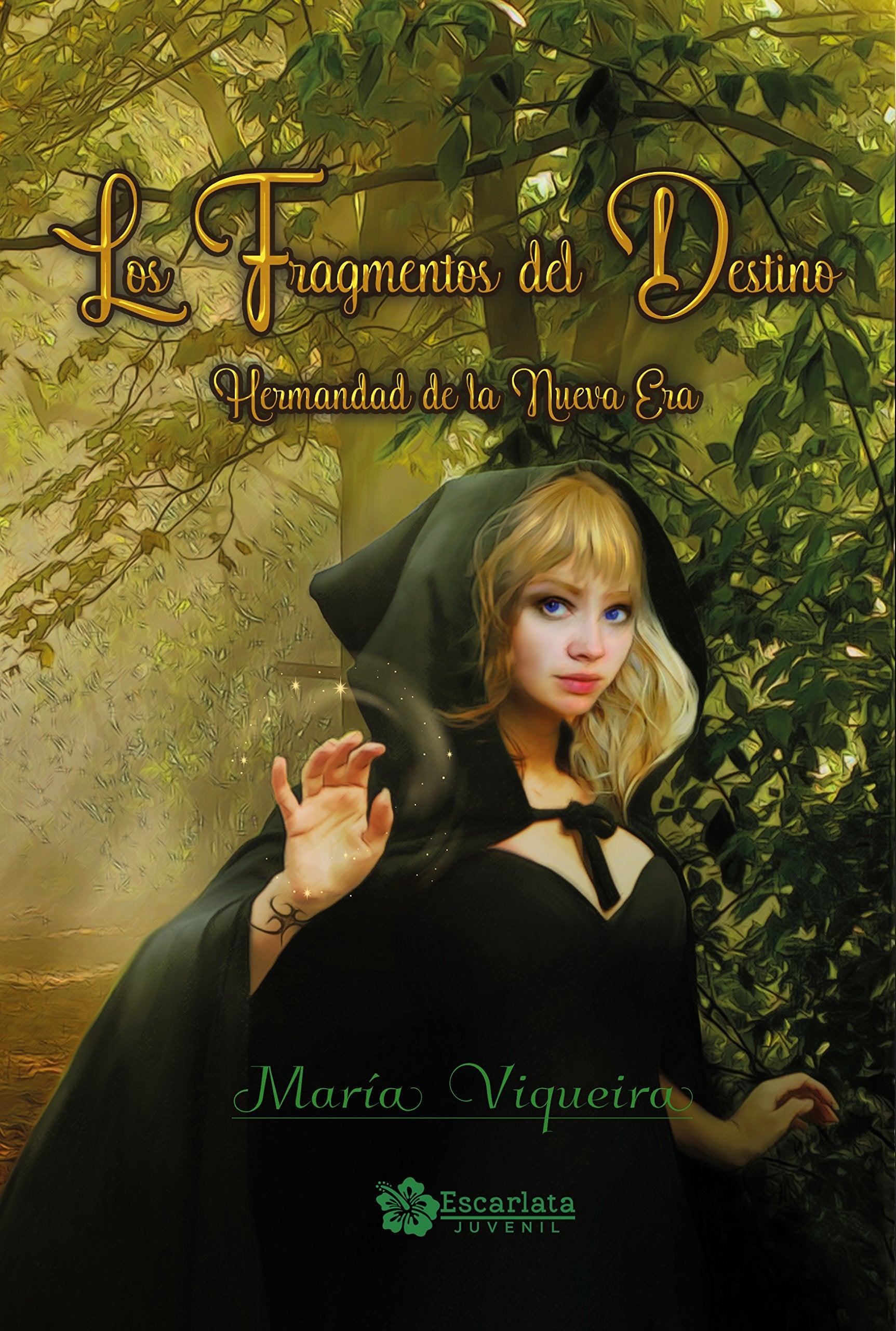 Los Fragmentos del Destino I: La hermandad de la nueva era book