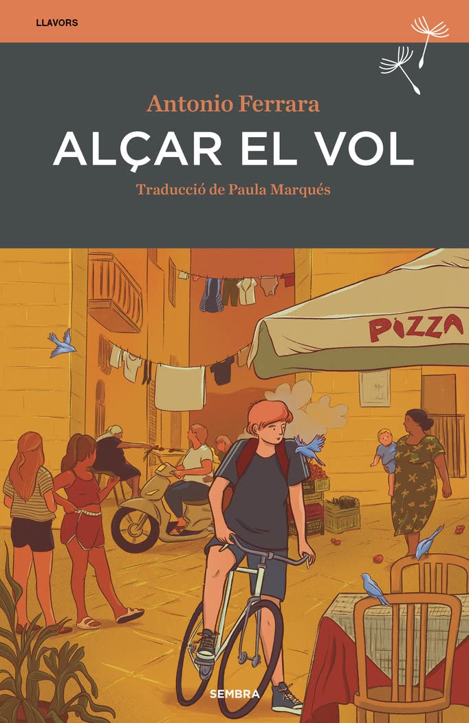 Alçar el vol (Llavors, Band 12) book