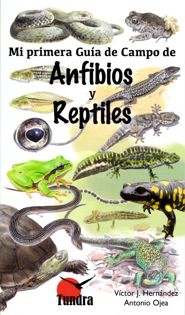 MI PRIMERA GUIA DE CAMPO DE ANFIBIOS Y REPTILES Books