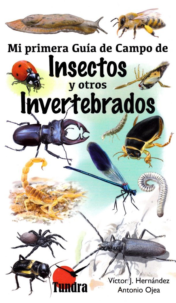 MI PRIMERA GUIA DE CAMPO DE INSECTOS Y OTROS INVERTEBRADOS Hobbies & Crafts
