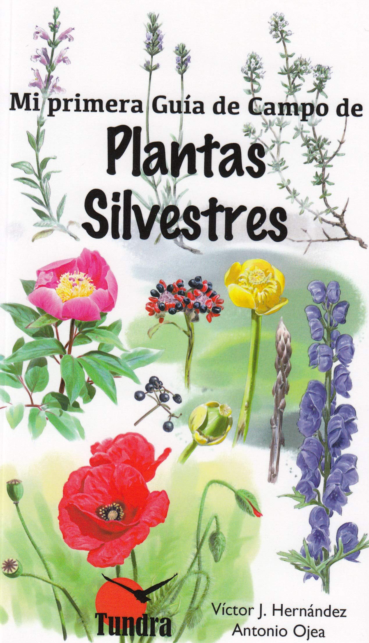 Mi primera guía de campo de plantas silvestres Mathematics