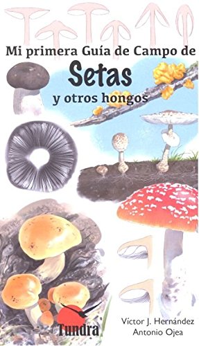 Setas y otros hongos Hobbies & Crafts