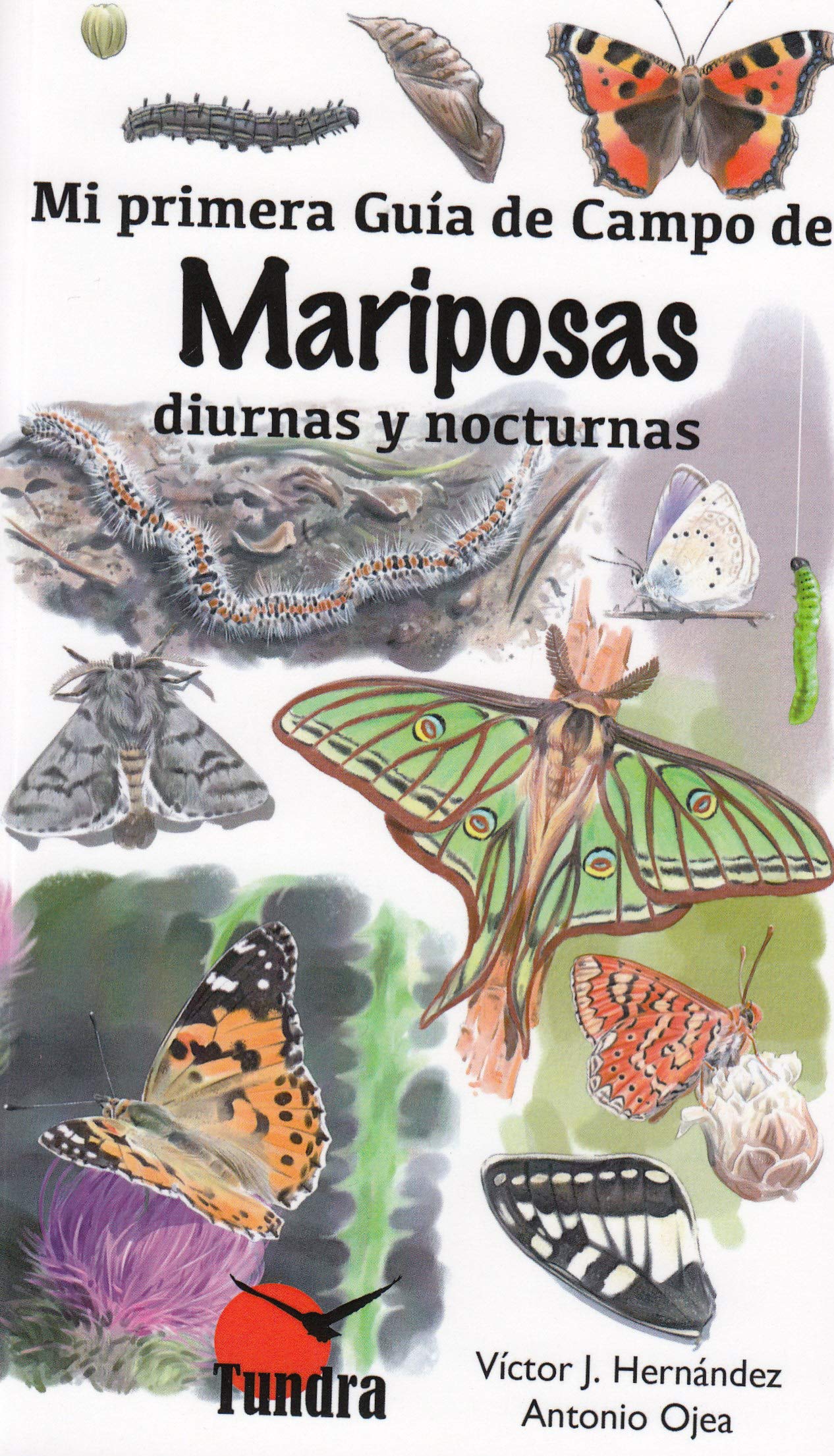Mi primera guía de campo de mariposas diurnas y nocturnas Books
