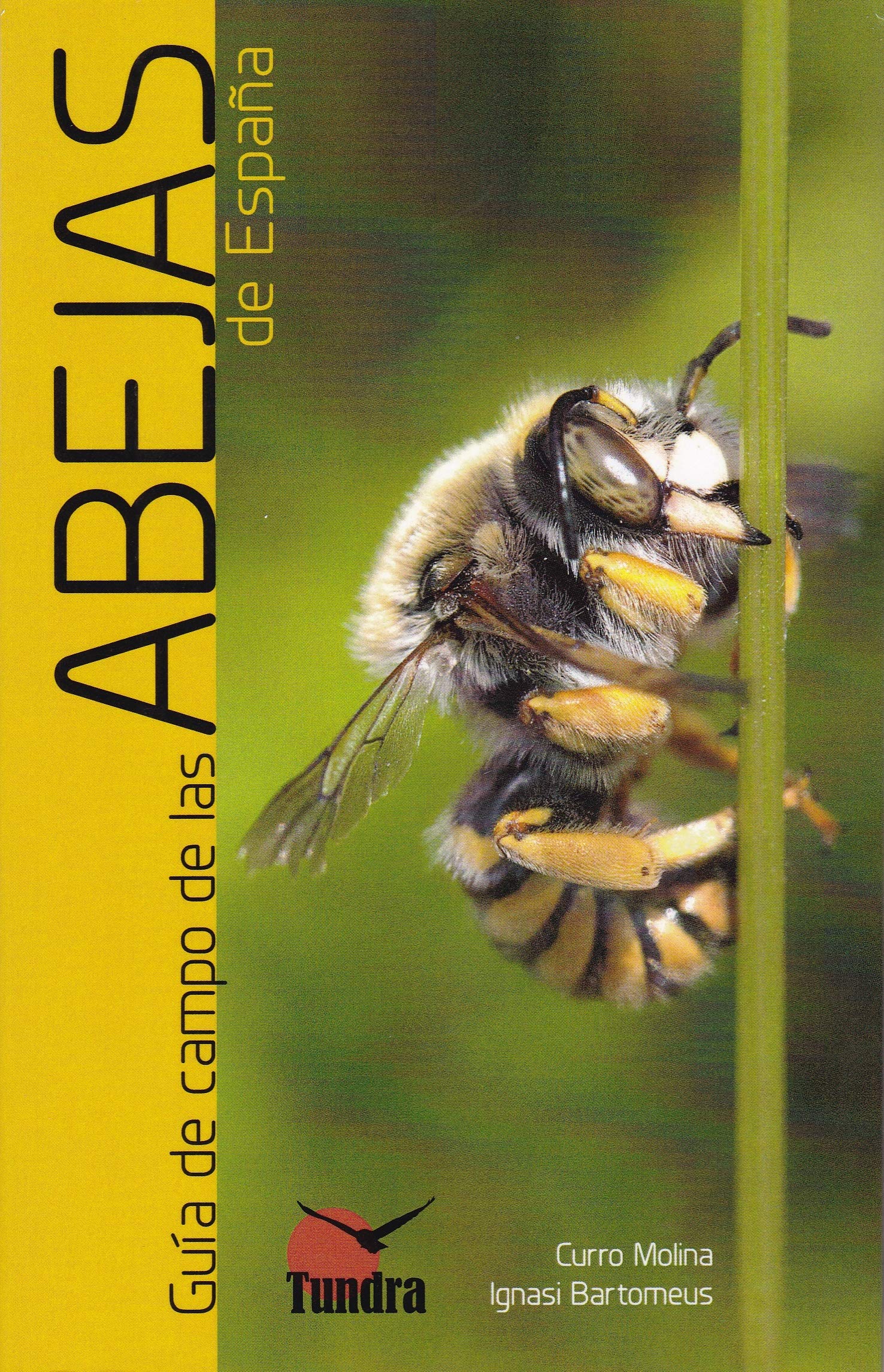Guia de campo de abejas de españa.(mi primera guia campo) Books