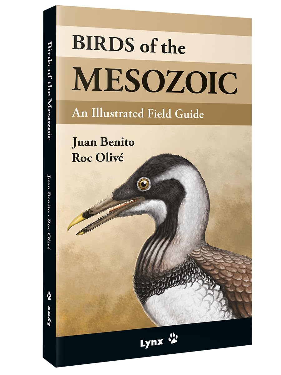 Birds of the Mesozoic Calendars