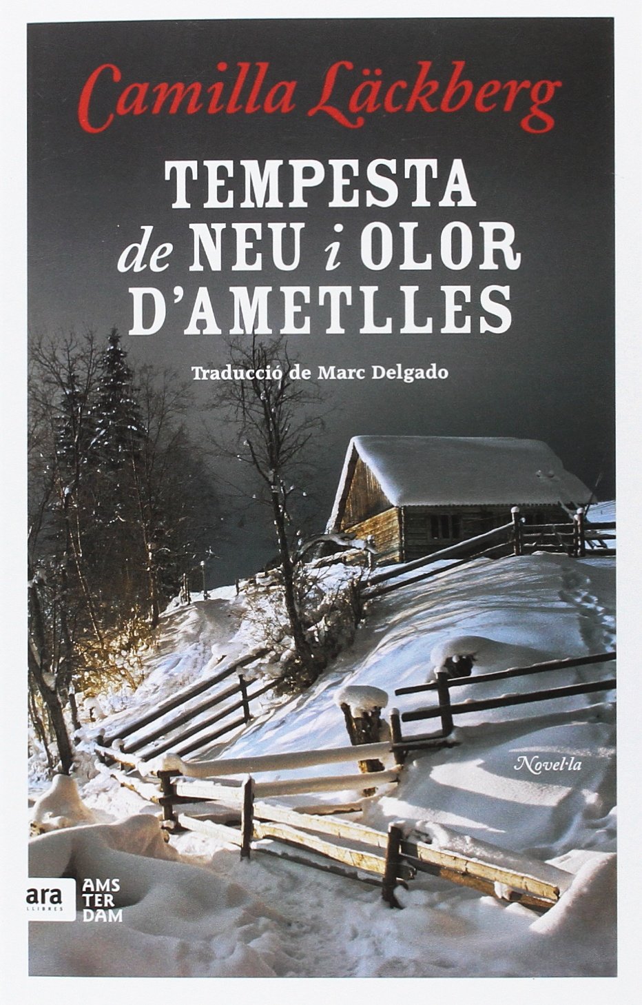 Tempesta de neu i aroma d'ametlles Contemporary literature