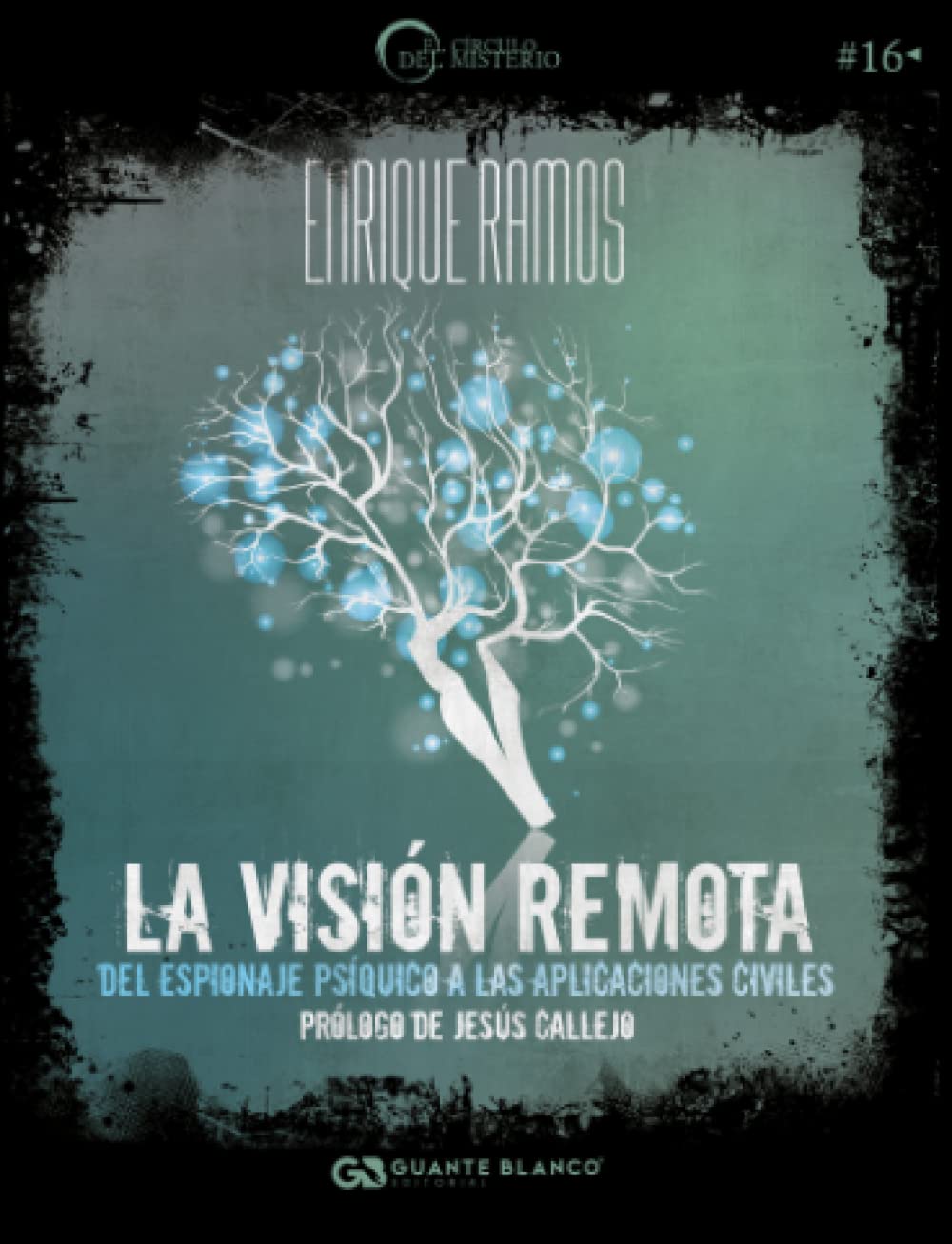 La visión remota: Del espionaje psíquico a las aplicaciones civiles Religion & Esotericism