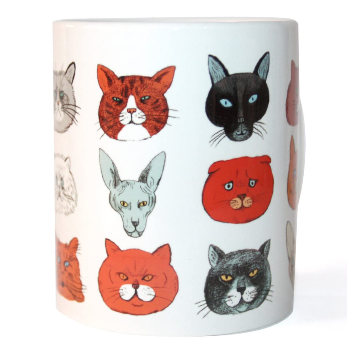 Taza gatos bajo la lupa de los científicos Books