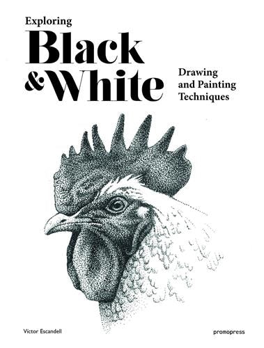 Product Image: Exploring Black & White : Drawing and Painting Techniques (Hardback)