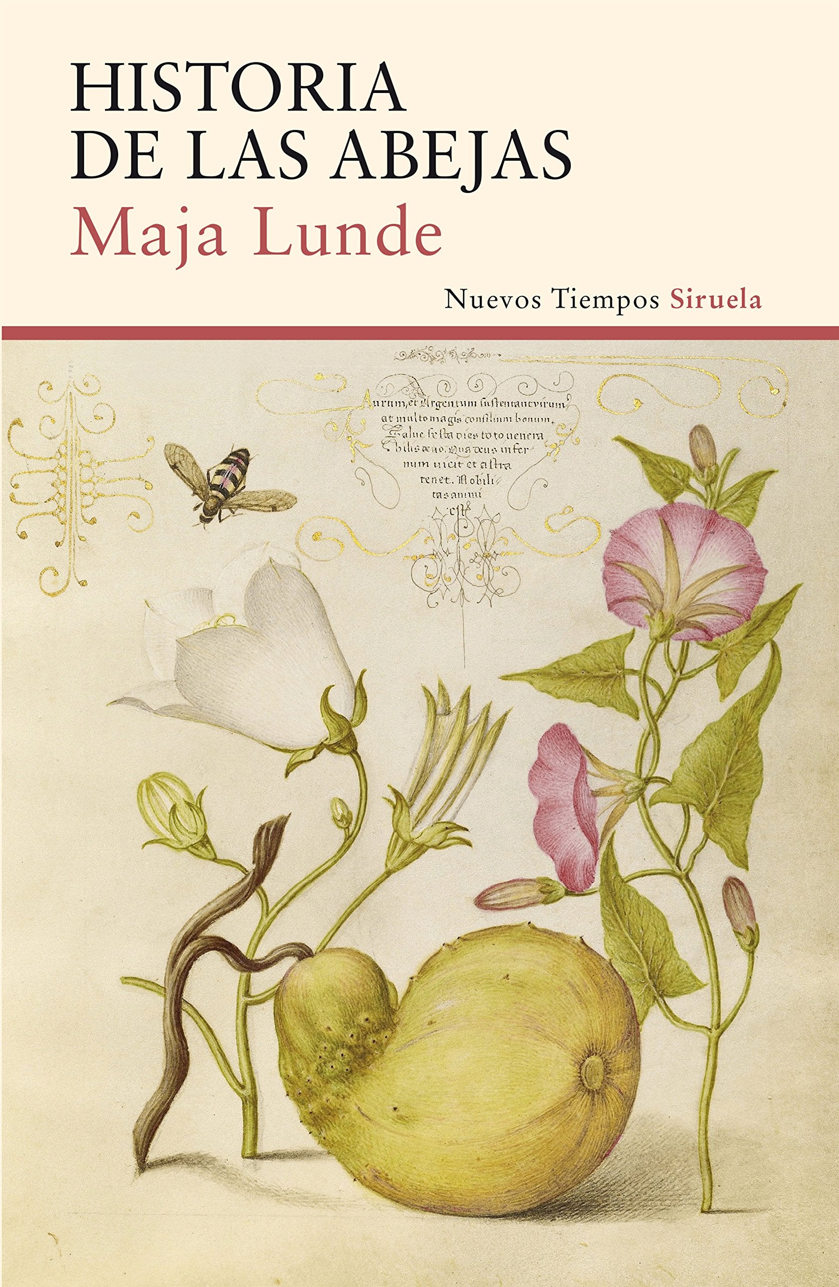 Historia de las abejas (Nuevos Tiempos, Band 356) Contemporary literature