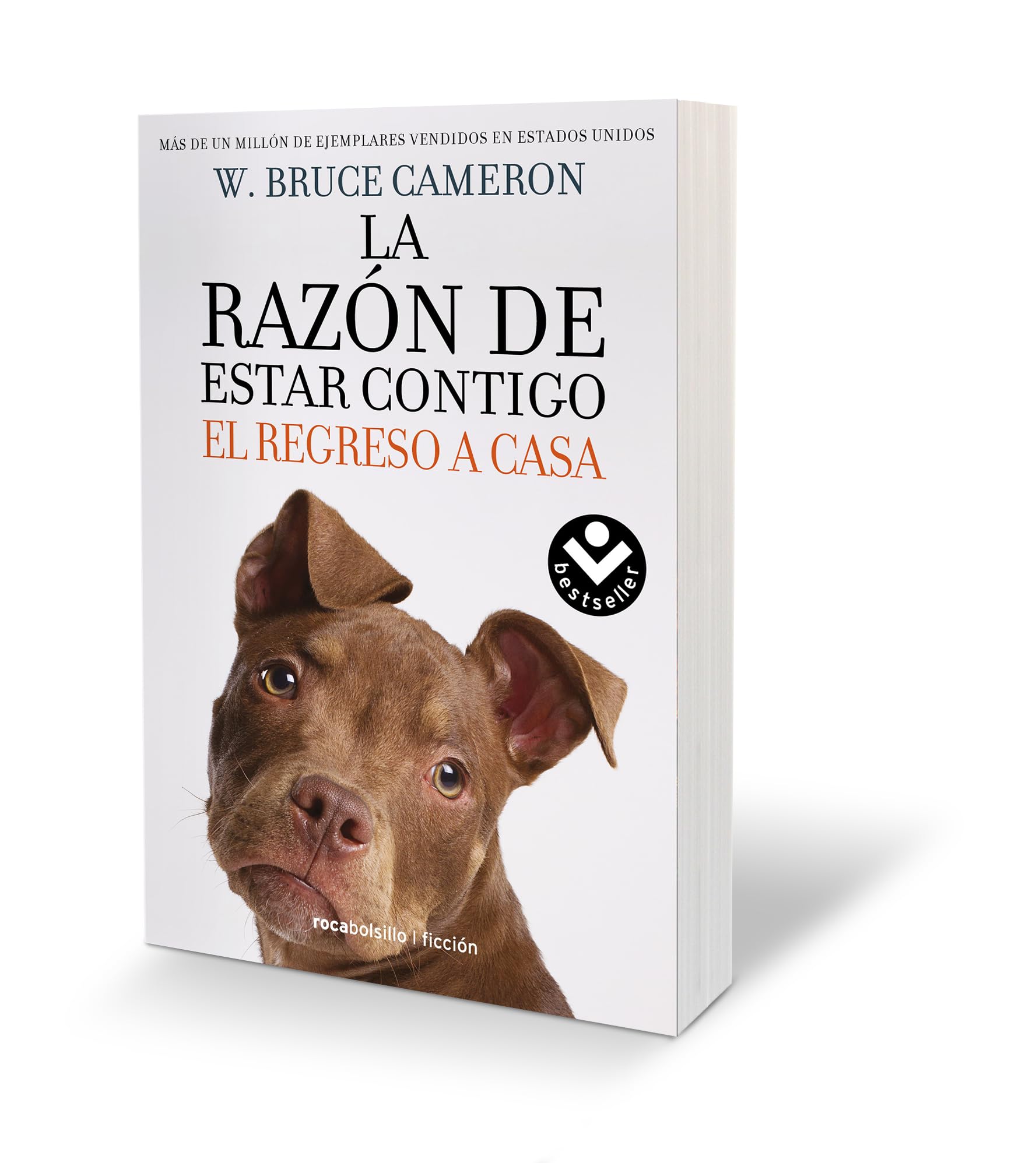 La razón de estar contigo : el regreso a casa book