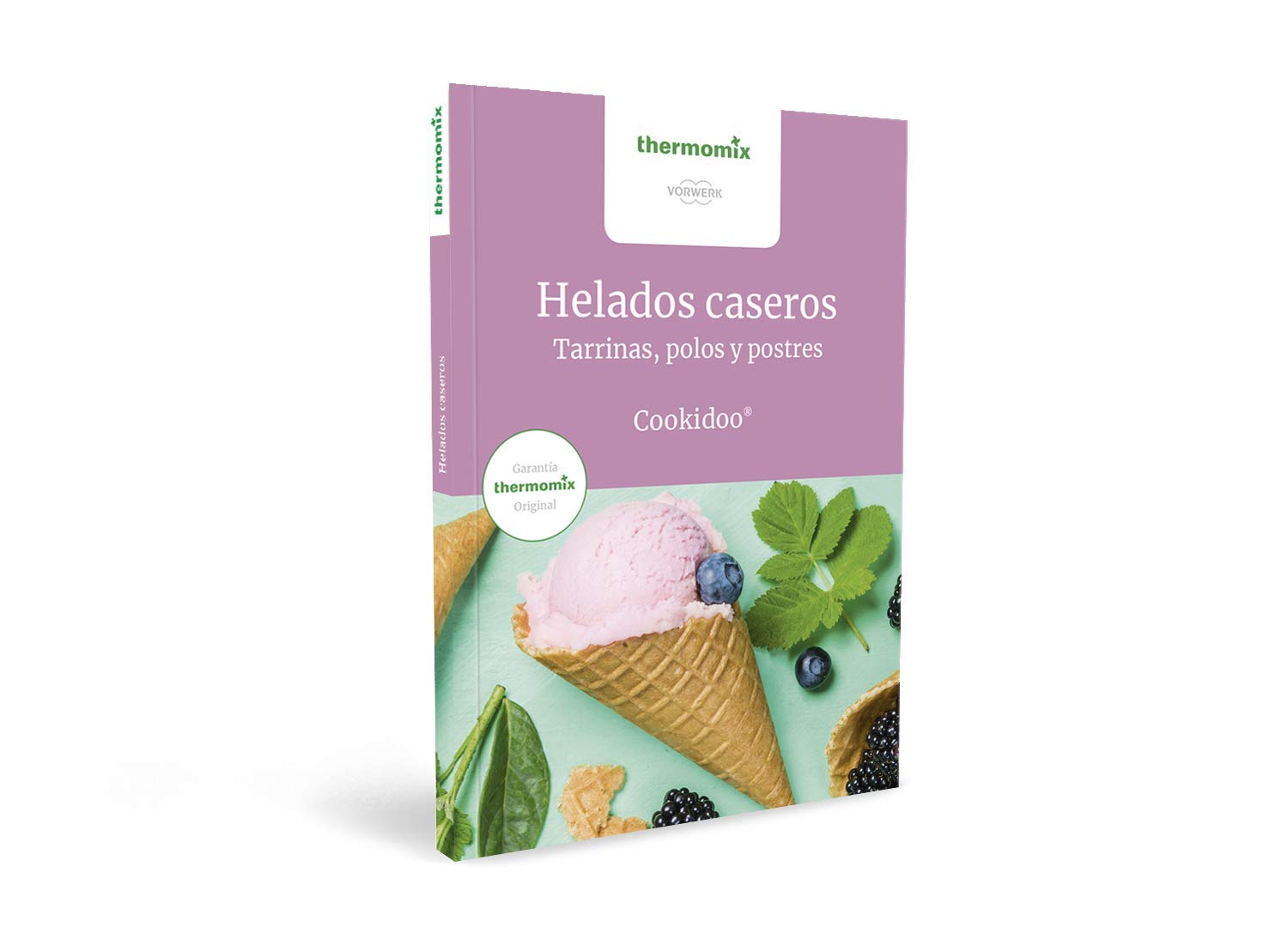 Helados caseros: Tarrinas, polos y postres book
