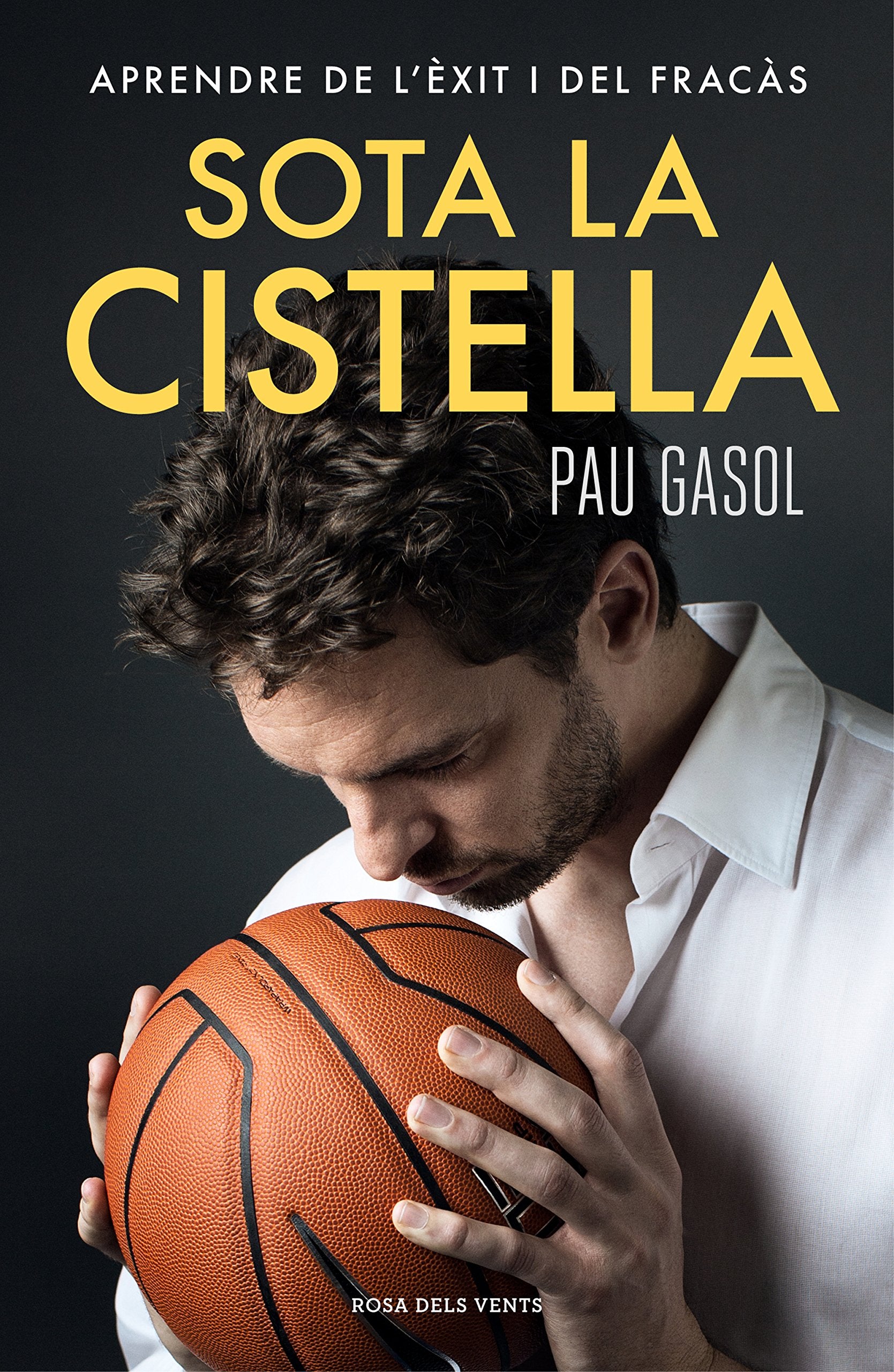 Sota la cistella: Aprendre de l'èxit i del fracàs (Narrativa) Sports