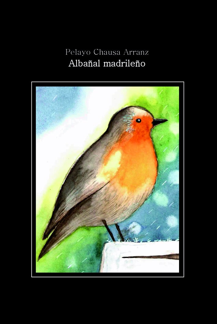 Albañal madrileño Contemporary literature