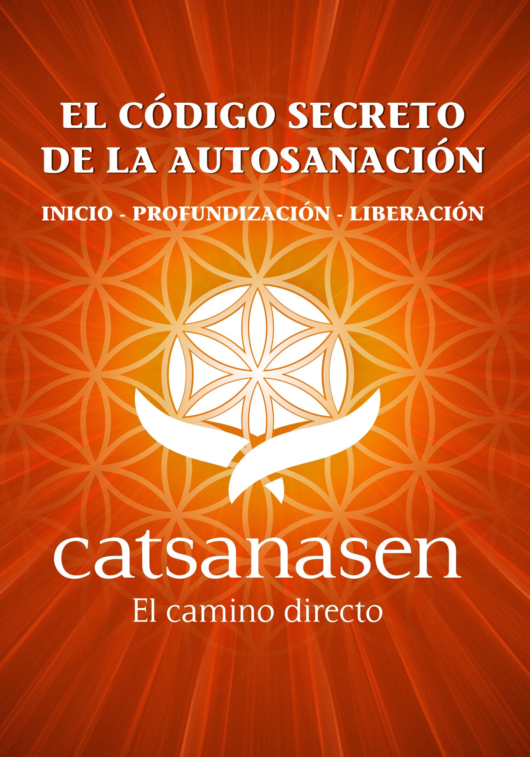 El codigo secreto de la autosanacion Books