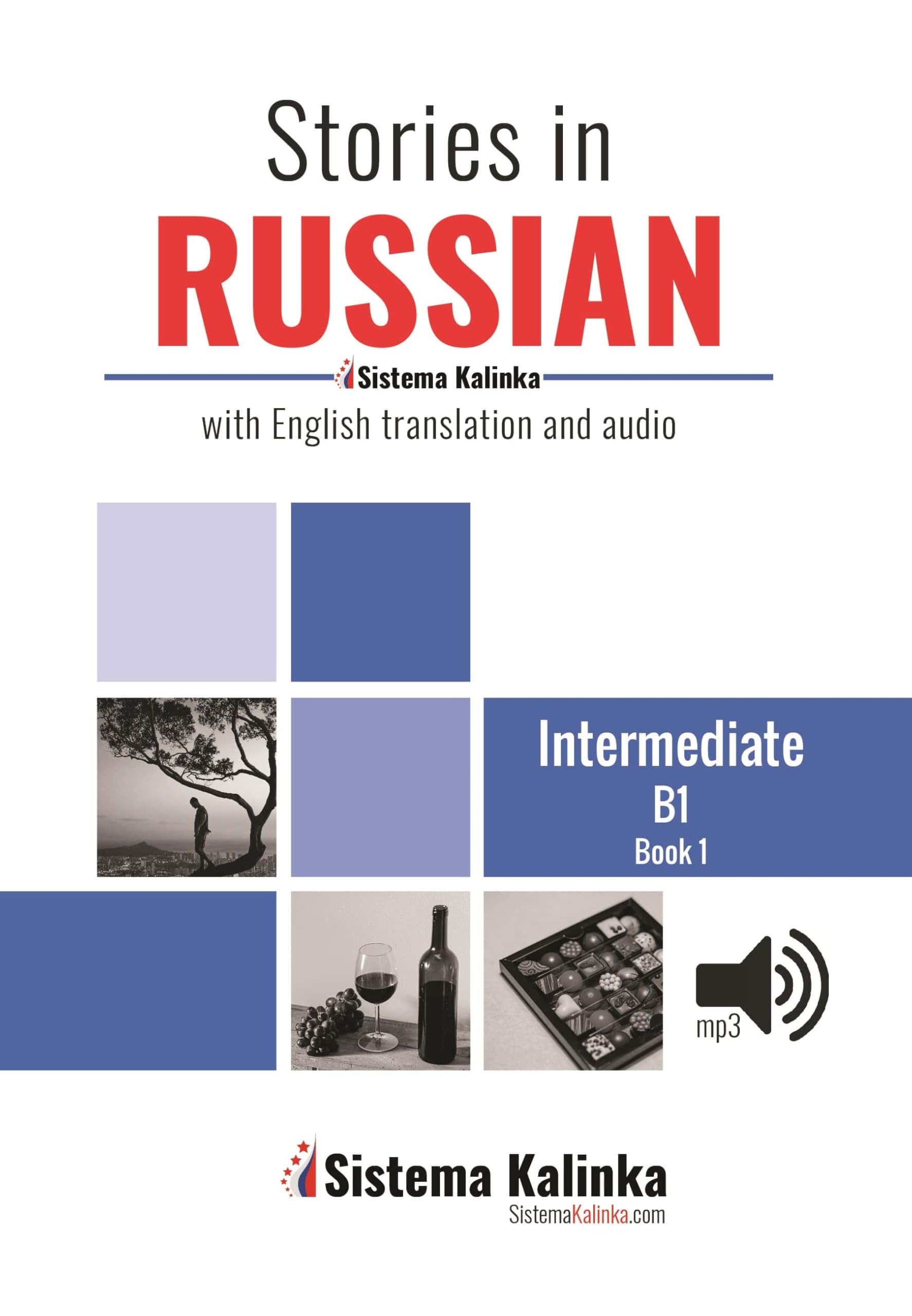 Stories in easy Russian. Level B1. Book 1: With English translation and audio Media & Communication