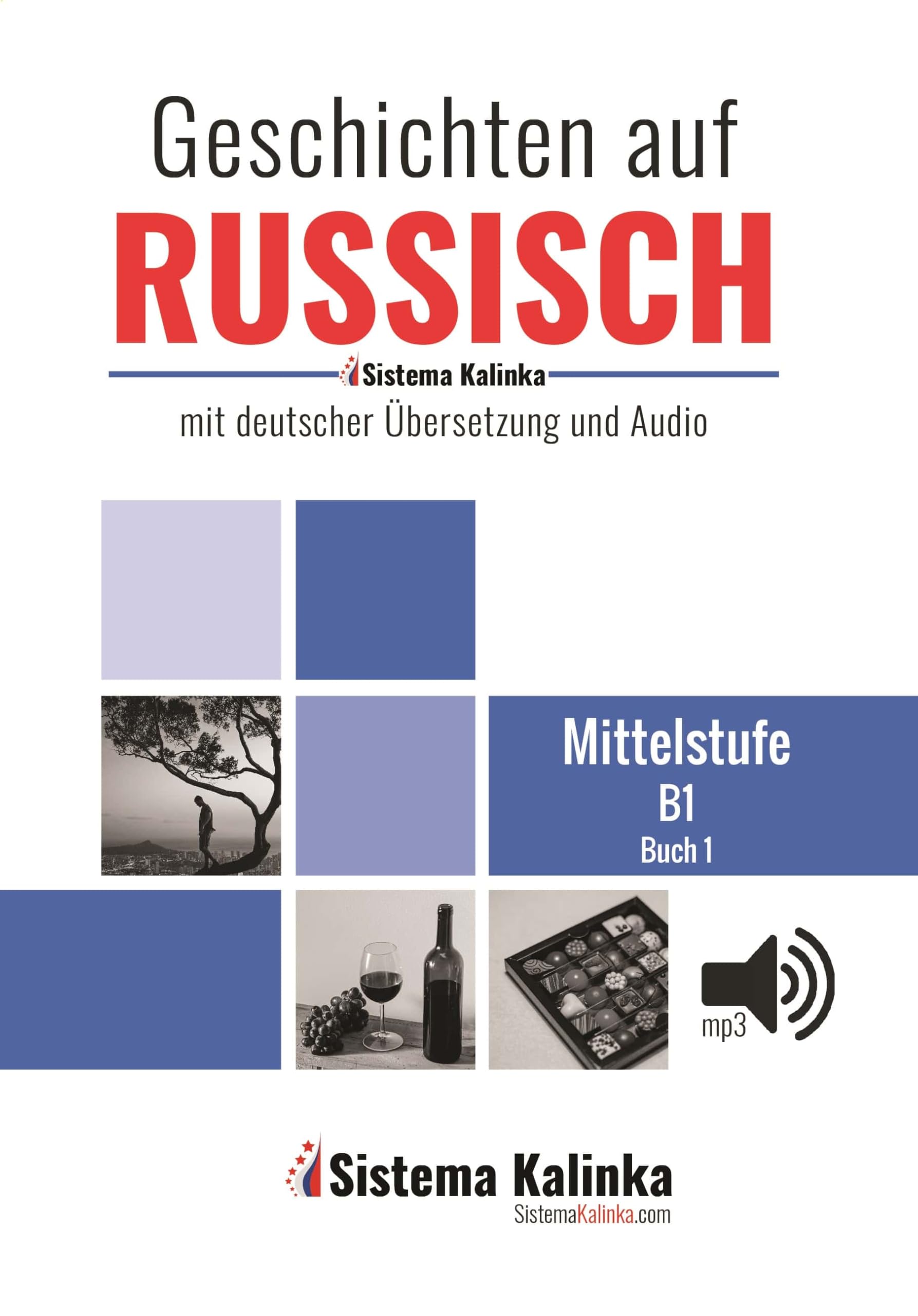 Geschichten auf Russisch - Niveau B1 - Buch 1 Foreign Languages ​​& Dictionaries