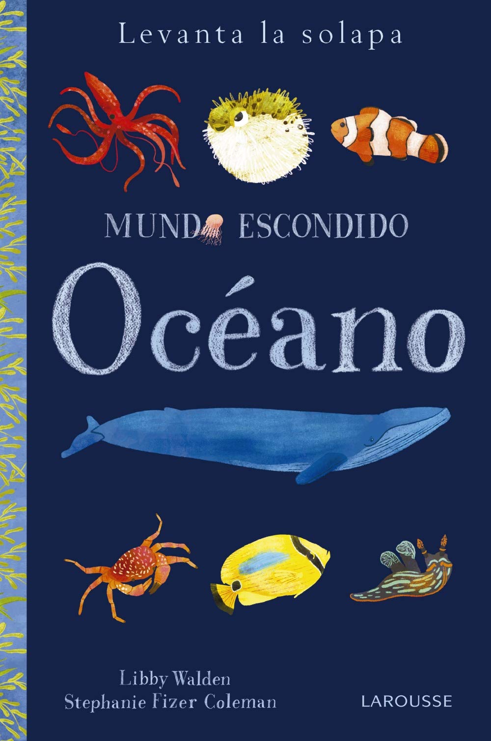 Mundo escondido : océano (LAROUSSE - Infantil / Juvenil - Castellano - A partir de 3 años - Libros singulares) Social Sciences