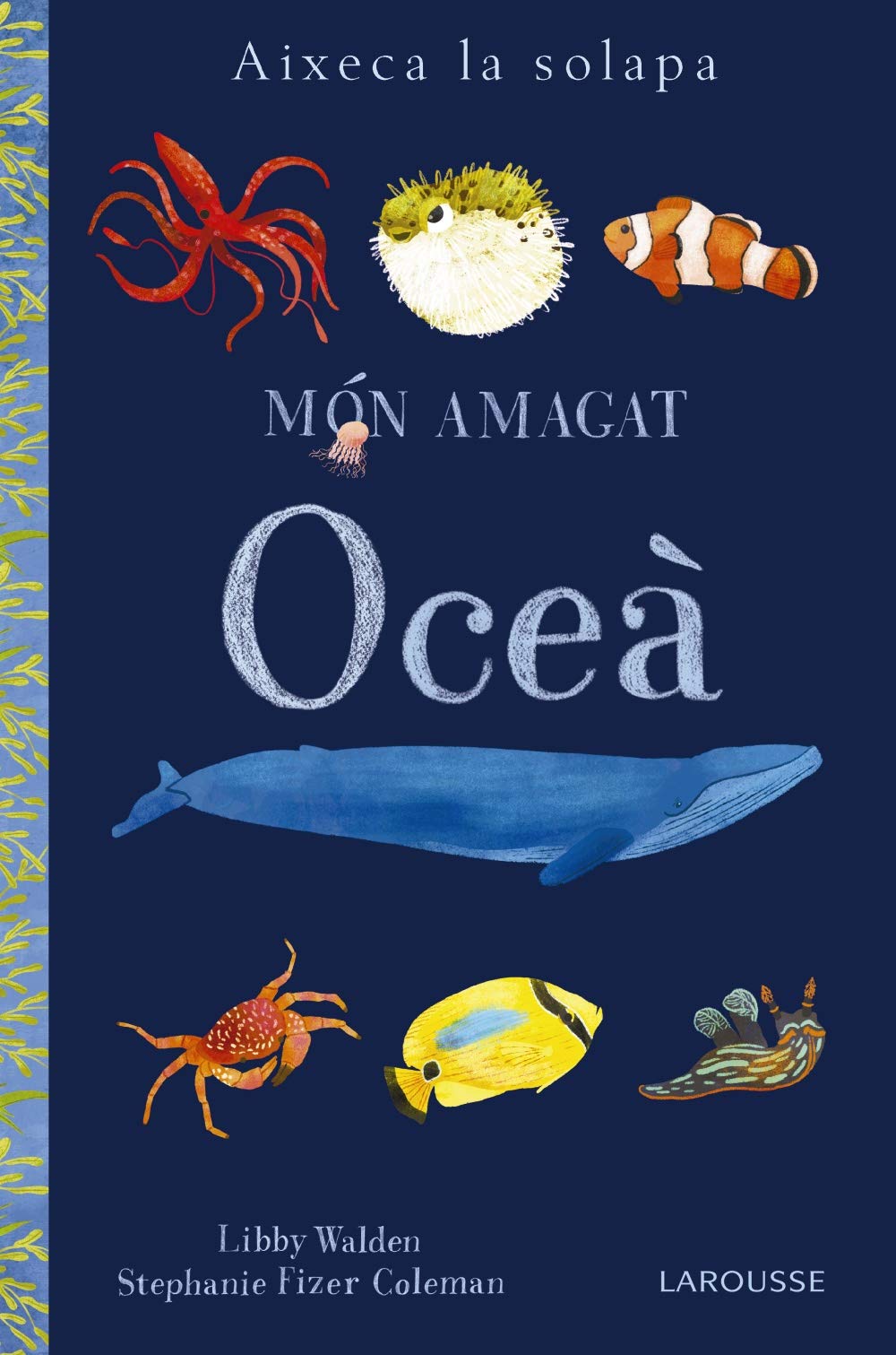 Món amagat : oceà (LAROUSSE - Infantil / Juvenil - Catalán - A partir de 3 años - Llibres singulars) Social Sciences