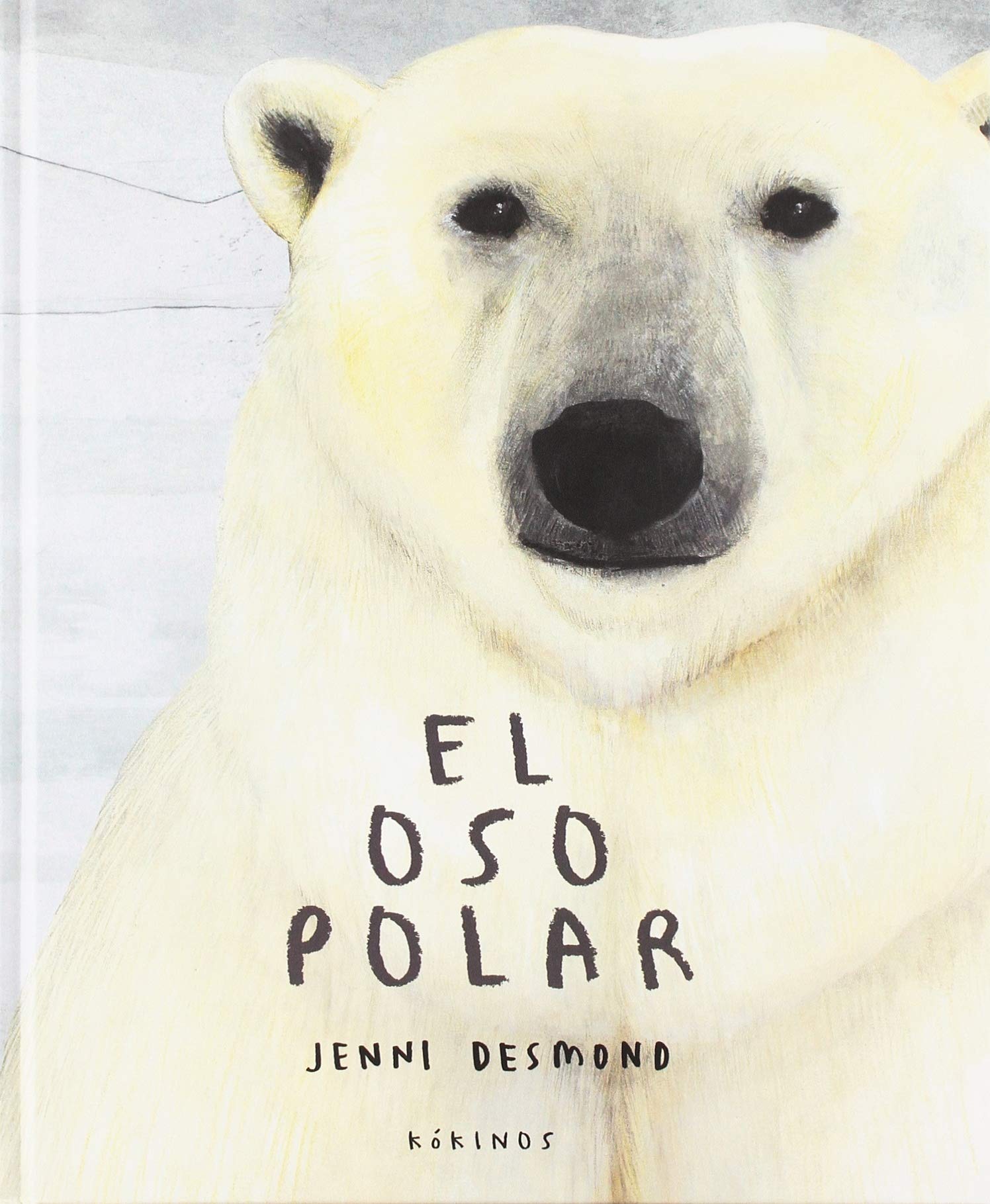 El oso polar Mathematics