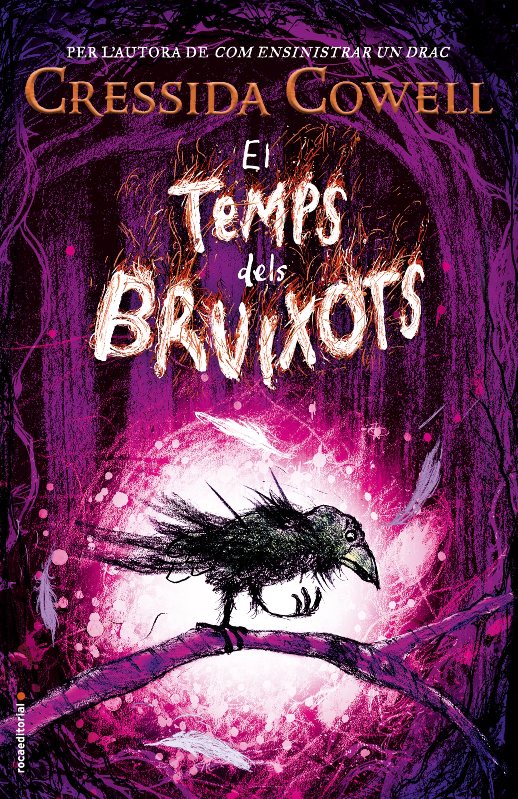 El Temps dels Bruixots 1 - El Temps dels Bruixots book