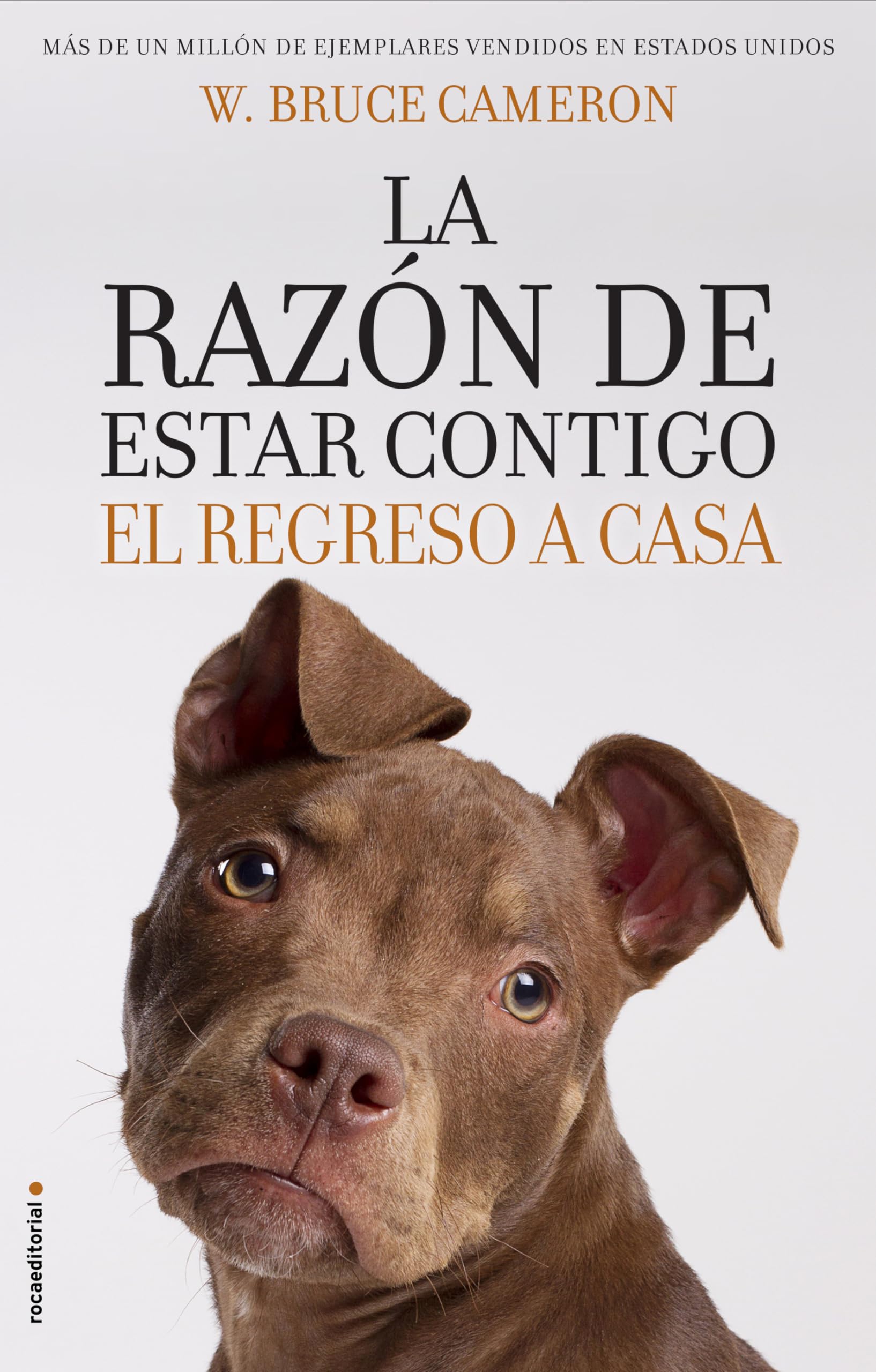 La razón de estar contigo : el regreso a casa Contemporary literature