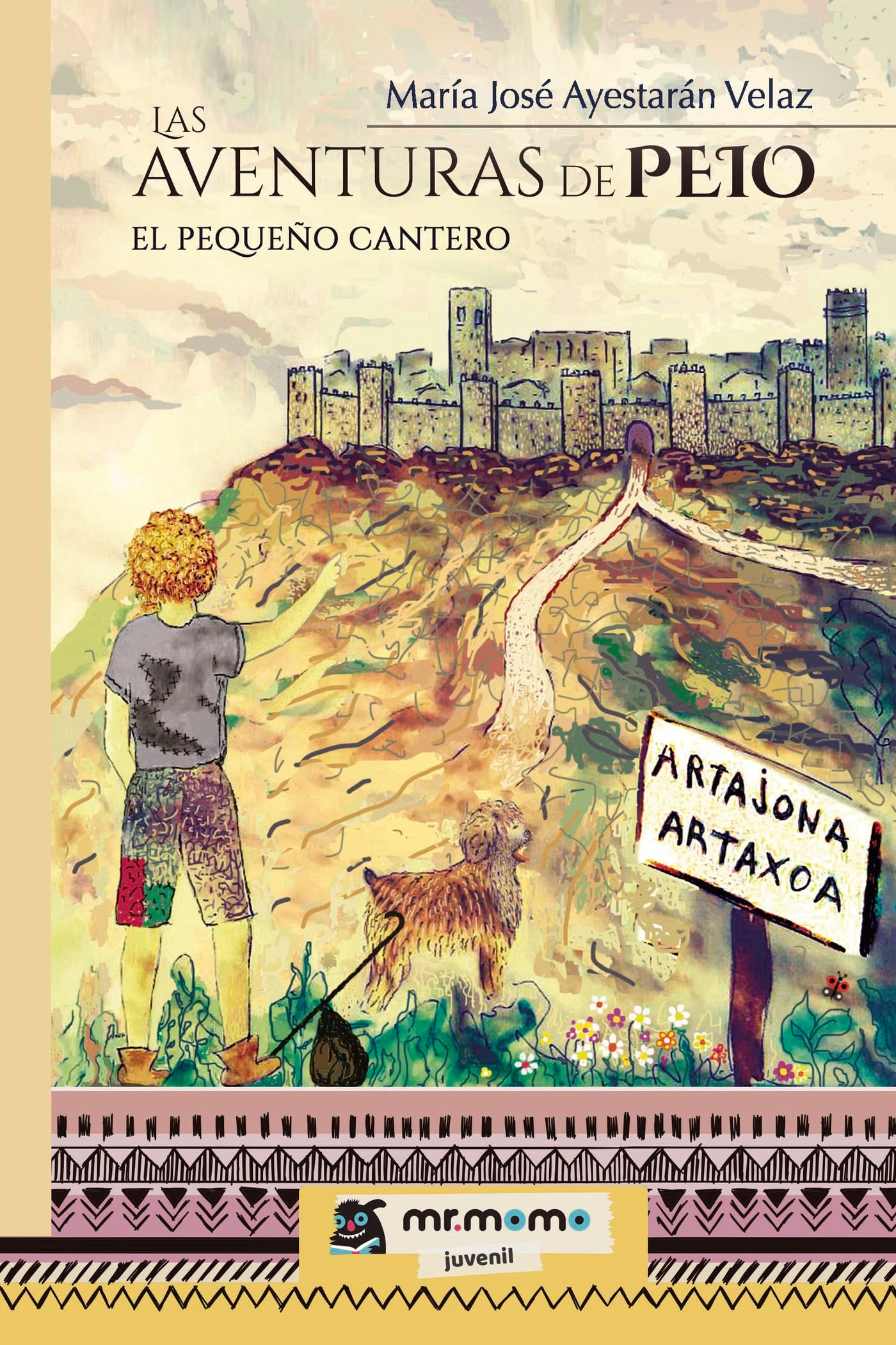 Las aventuras de Peio: El pequeño cantero book