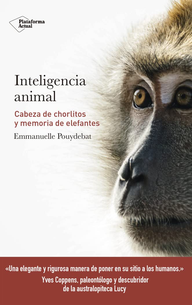 Inteligencia animal: Cabeza de chorlitos y memoria de elefantes book