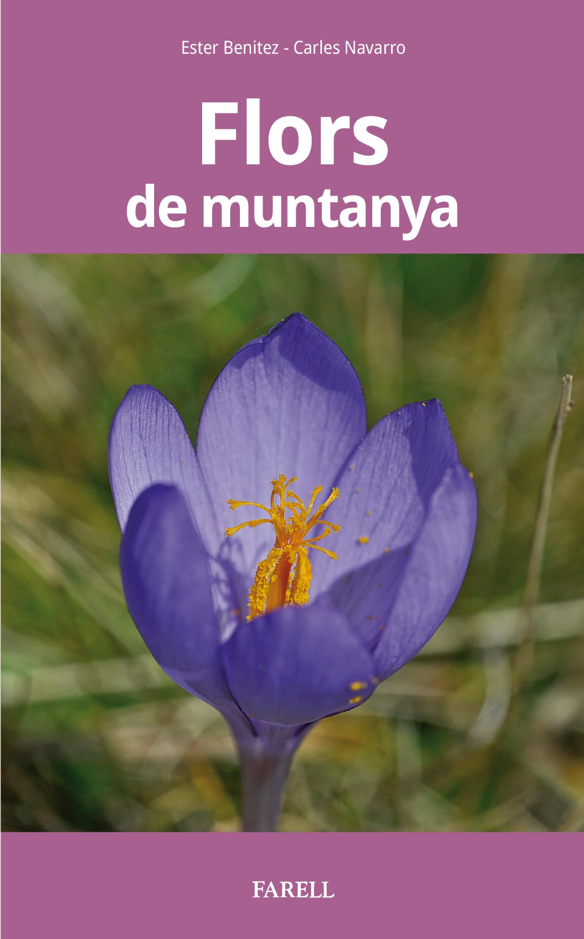 Flors de muntanya (Natura Essencial, Band 6) Leisure, Home & Garden