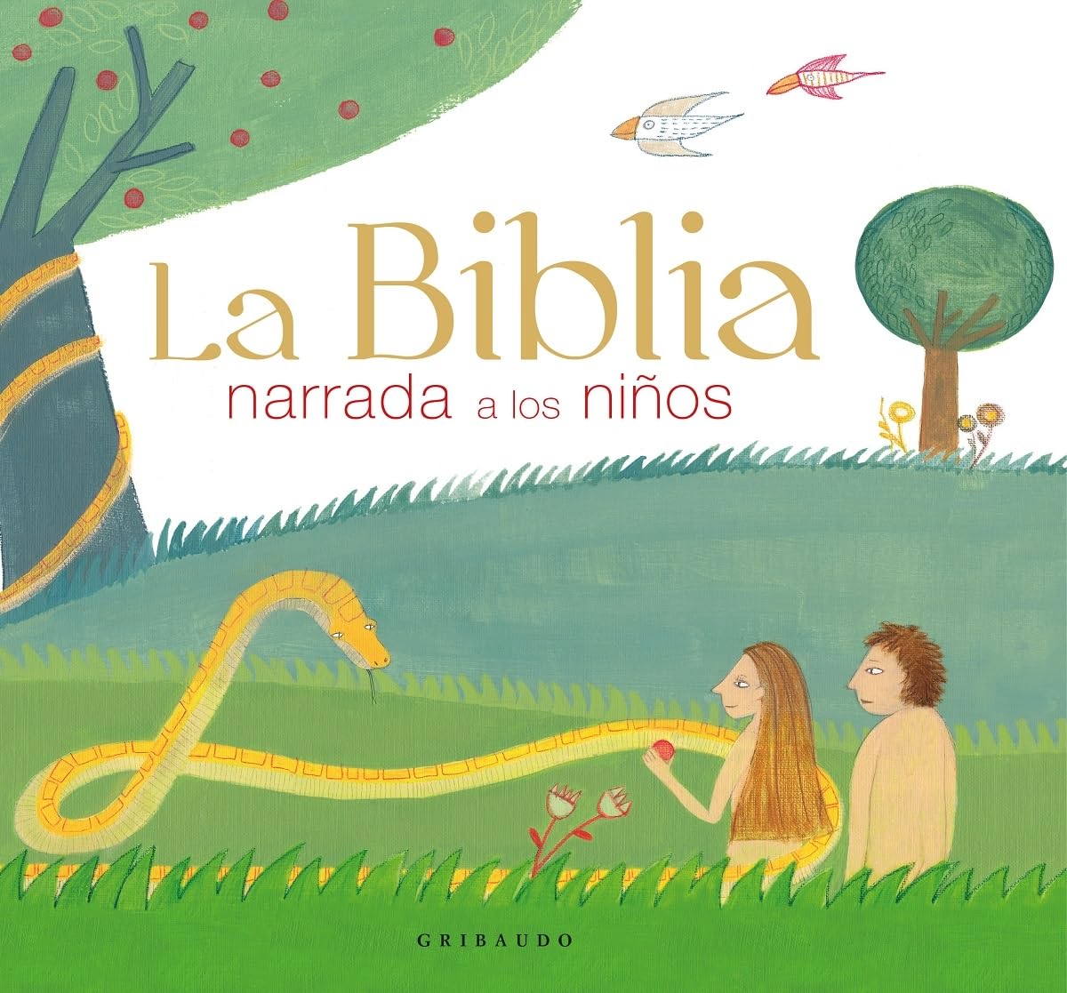 Biblia Narrada a Los Niños, La Social Sciences