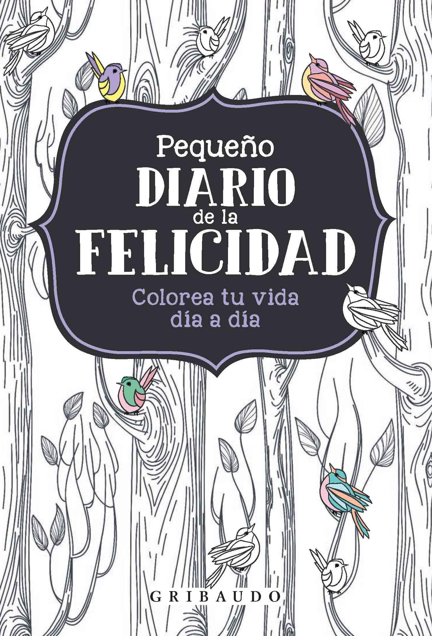 Pequeño diario de la felicidad/ Little Happiness Diary book