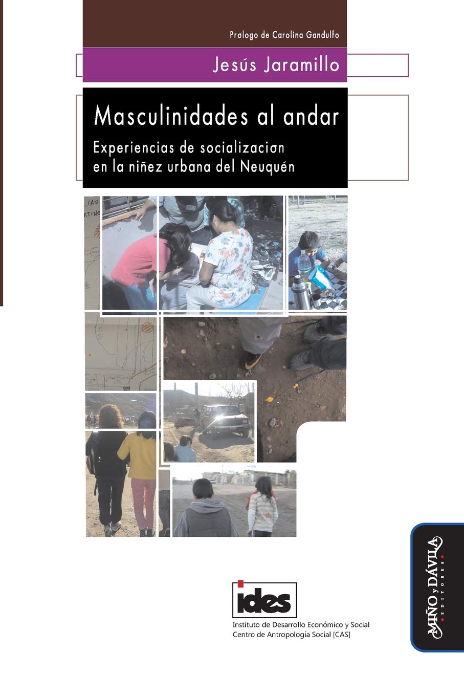 Masculinidades al andar: Experiencias de socialización en la niñez urbana del Neuquén (Antropología y Procesos Educativos, Band 4) Education & Training