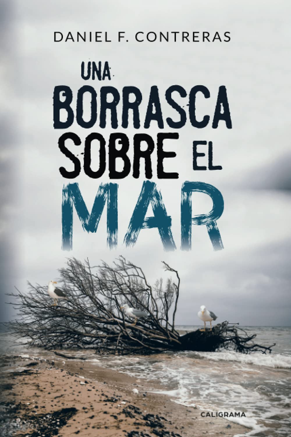 Una borrasca sobre el mar (Caligrama) Memories