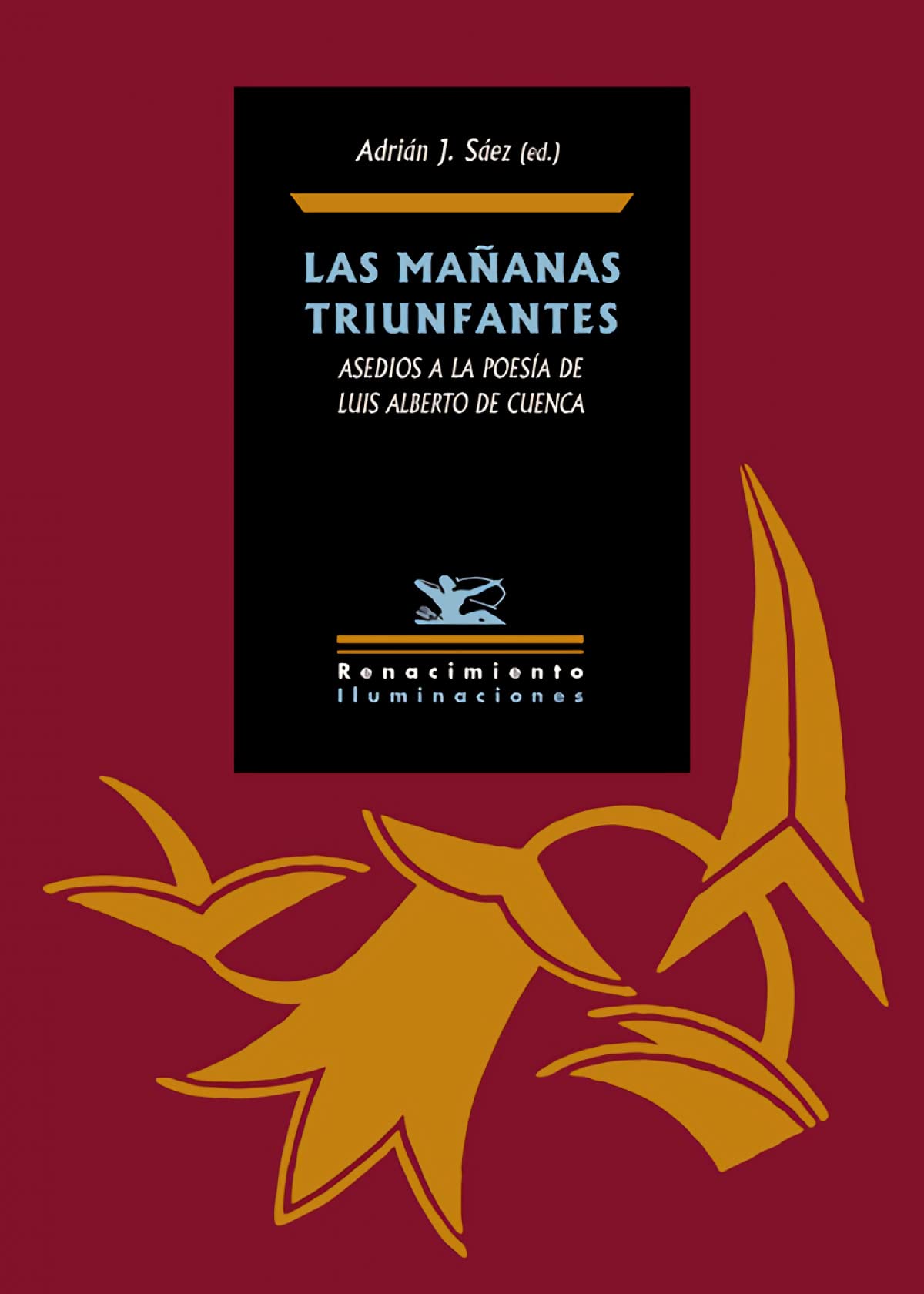 Las mañanas triunfantes : asedios a la poesía de Luis Alberto de Cuenca (Iluminaciones, Band 124) Contemporary literature