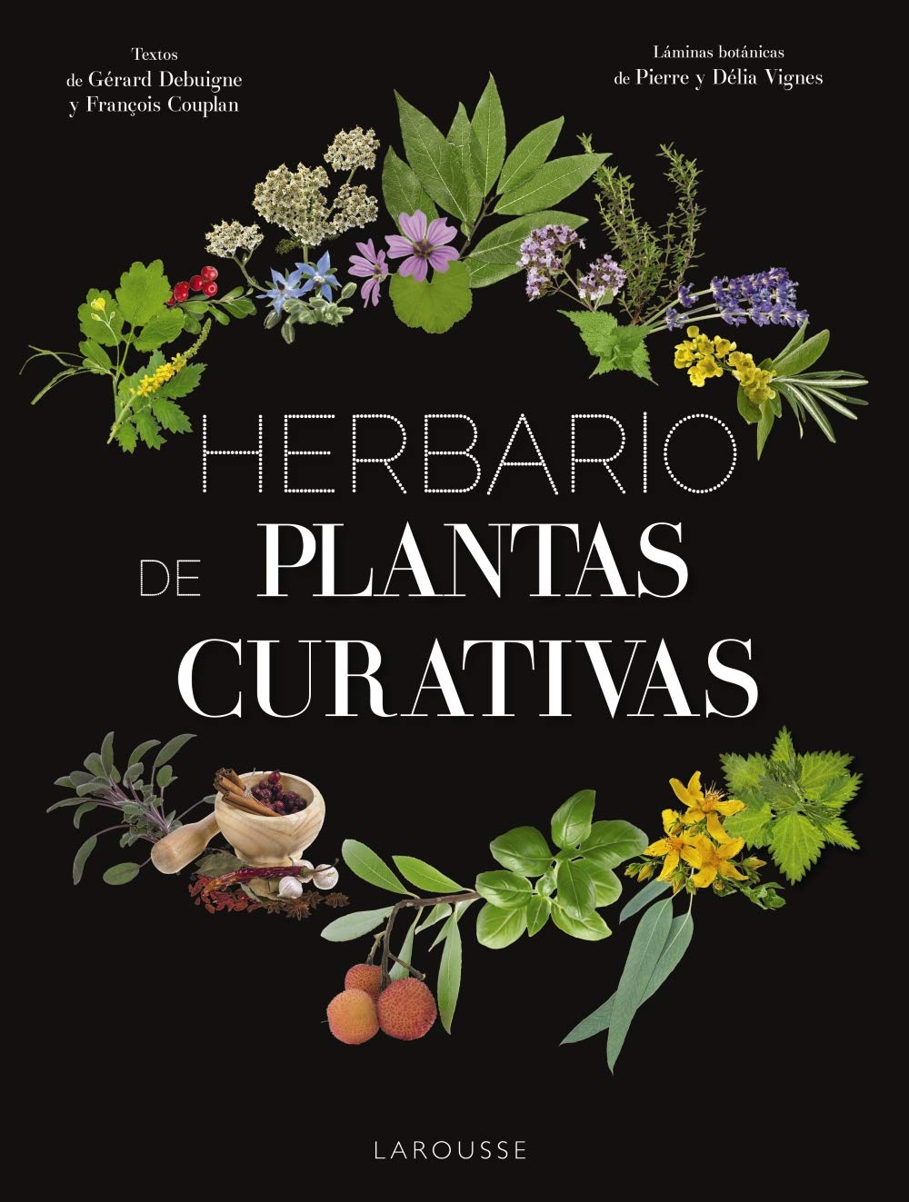 Herbario de plantas curativas (LAROUSSE - Libros Ilustrados/ Prácticos) Garden & Plants