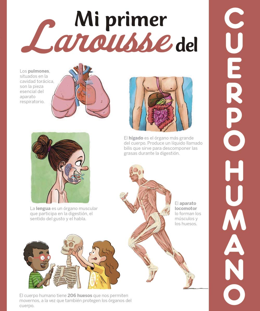 Mi primer Larousse del cuerpo humano Social Sciences