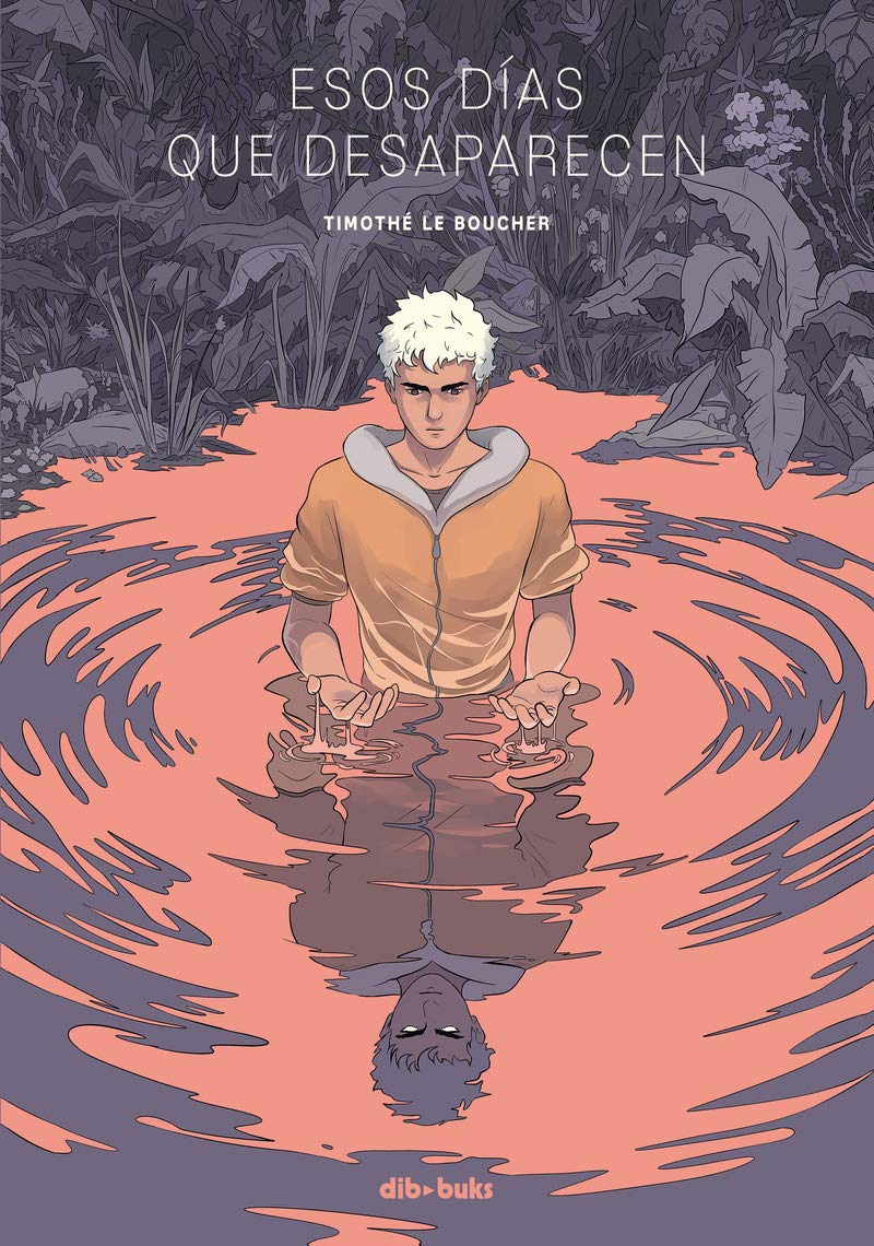 Esos días que desaparecen book
