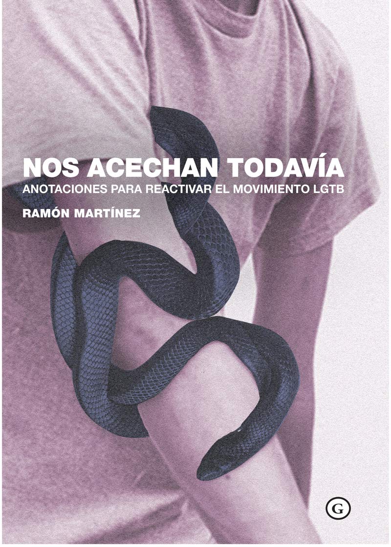 NOS ACECHAN TODAVIA . Anotaciones para reactivar el movimiento LGTB book